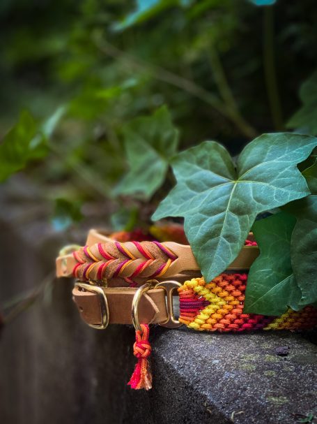 Halsband und Leinenset in Orangtönen.